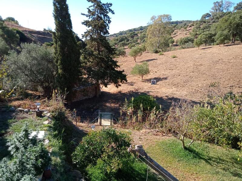 4 Cuarto Casa de Campo en venta