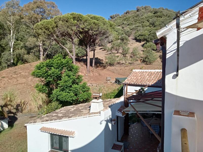 4 Cuarto Casa de Campo en venta