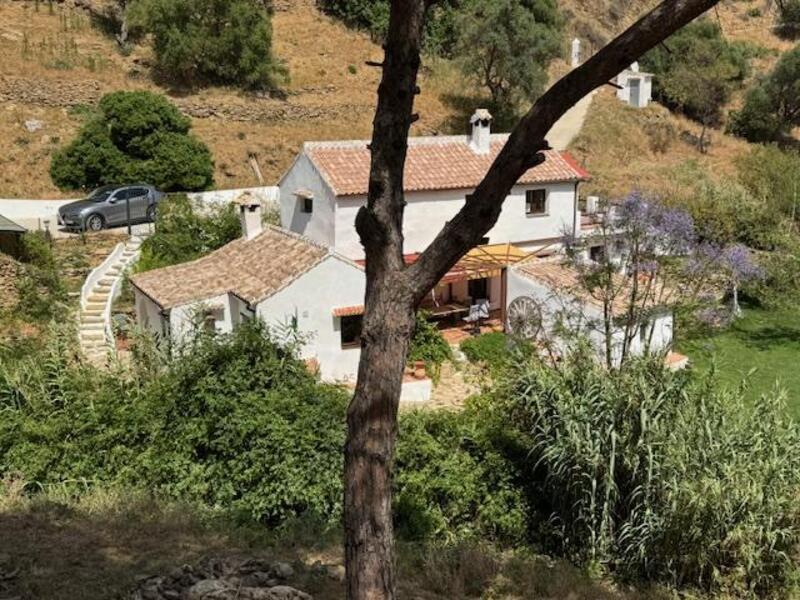 4 Cuarto Casa de Campo en venta