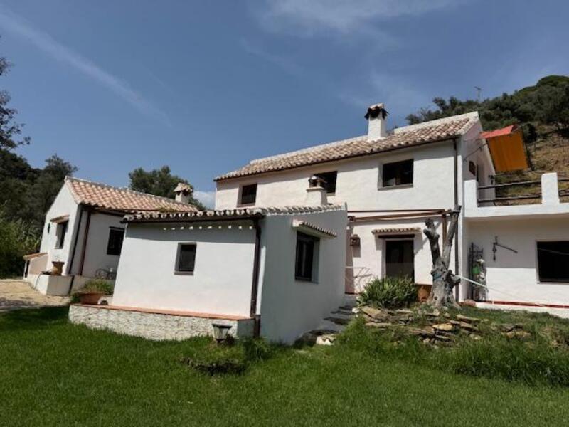 4 Cuarto Casa de Campo en venta