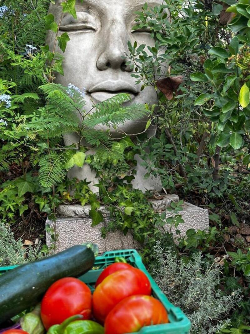 3 sovrum Lantställe till salu 3 sovrum Lantställe till salu