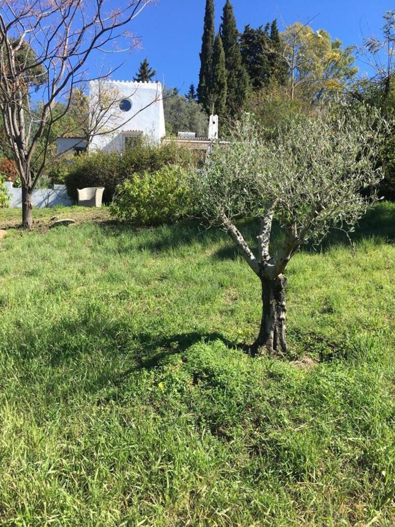 3 sovrum Lantställe till salu 3 sovrum Lantställe till salu