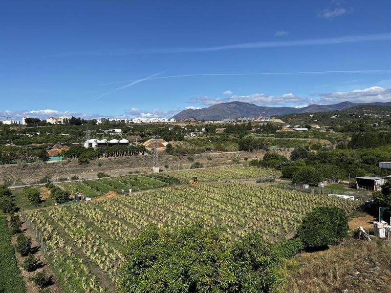 2 Cuarto Villa en venta