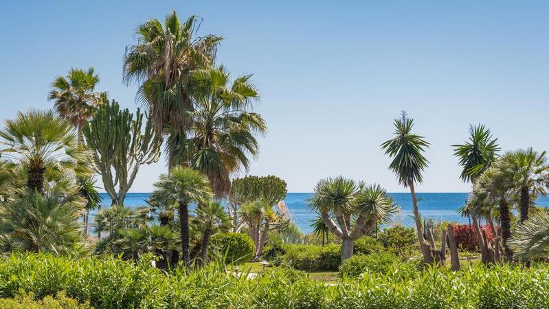 3 soveværelse Lejlighed til salg