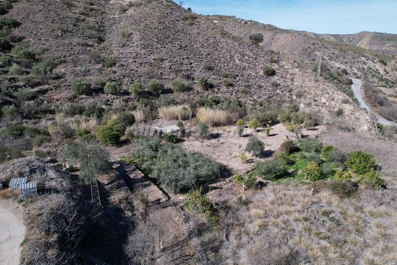 4 Cuarto Casa de Campo en venta