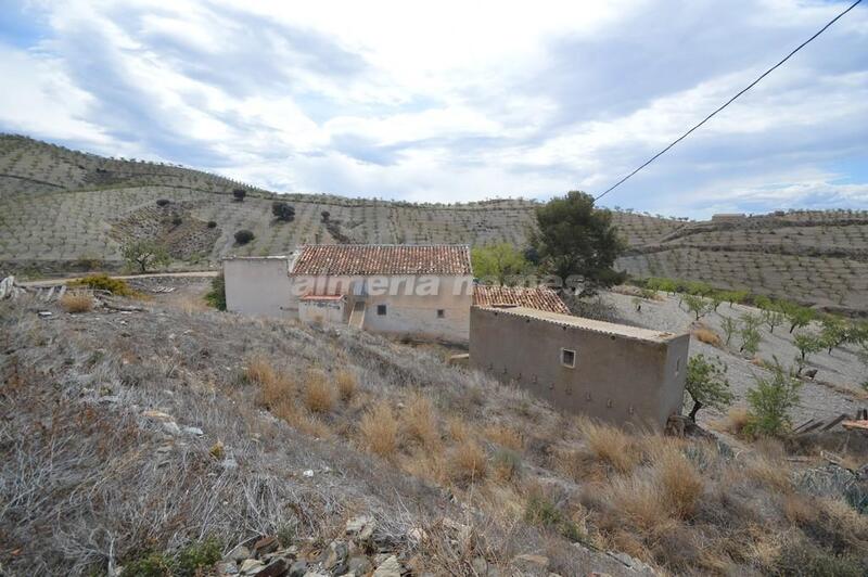 4 chambre Auberge à vendre
