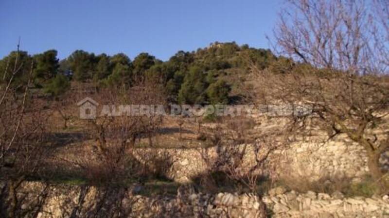 Country House for sale