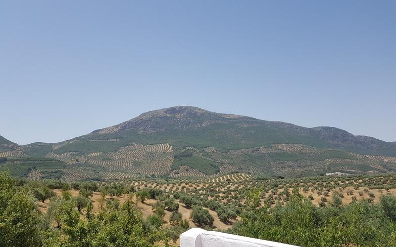 Gezinswoning Te koop in La Carrasca, Jaén