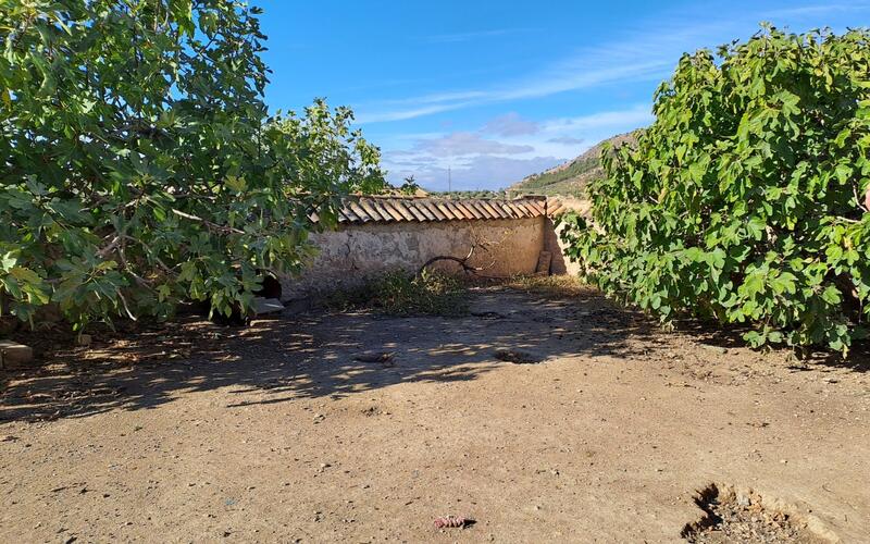 5 slaapkamer Gezinswoning Te koop