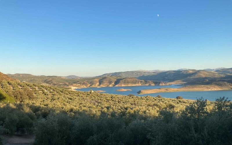 Lantställe till salu i Rute, Córdoba