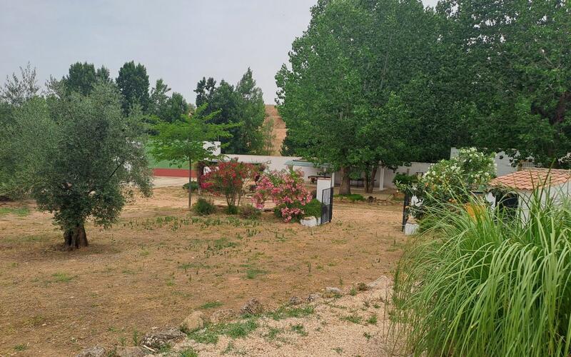 5 Cuarto Local Comercial en venta
