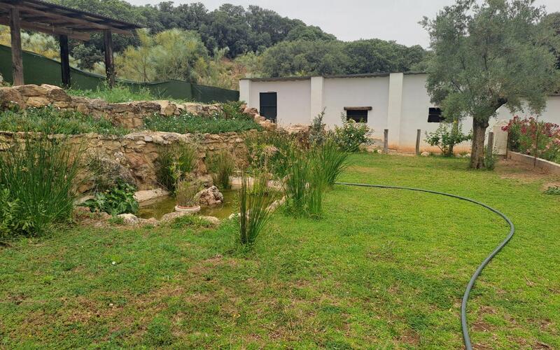 5 Cuarto Local Comercial en venta