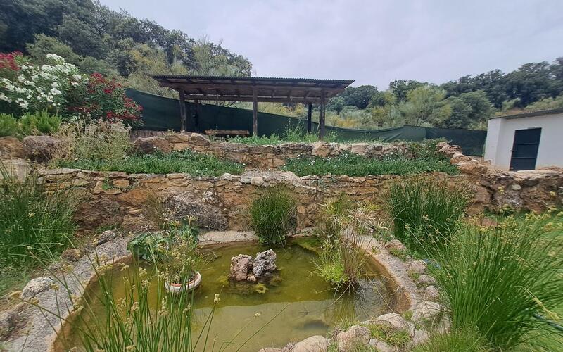 5 Cuarto Local Comercial en venta
