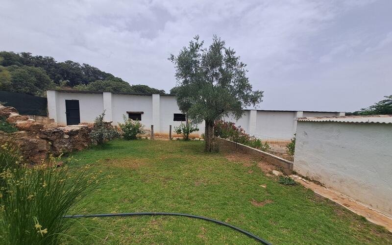 5 Cuarto Local Comercial en venta