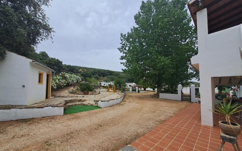 5 Cuarto Local Comercial en venta