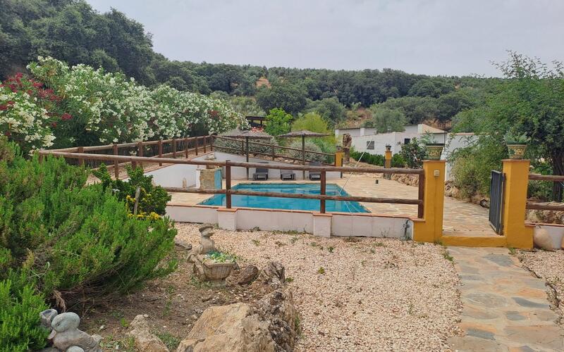 5 Cuarto Local Comercial en venta