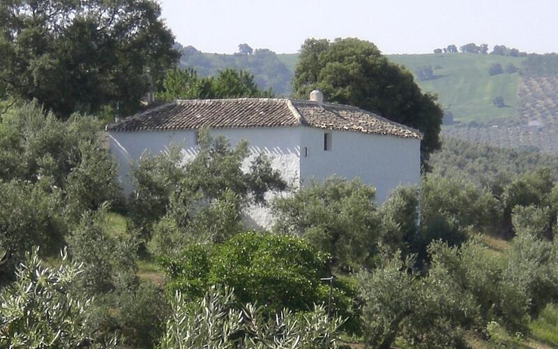 3 Cuarto Casa de Campo en venta