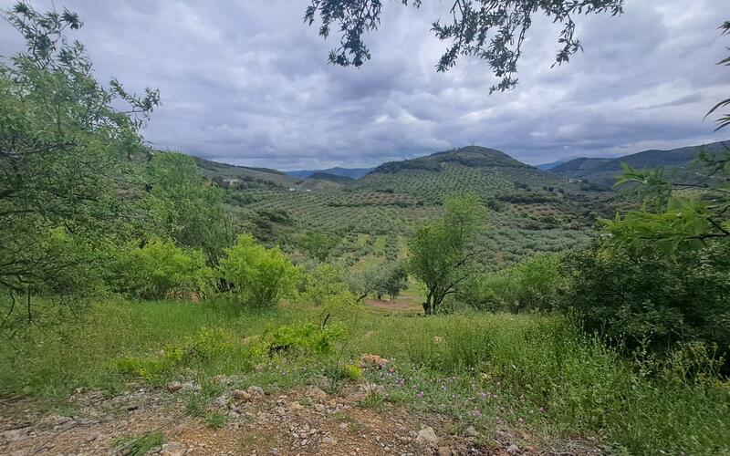 Herregård til salgs i Alcaudete, Jaén