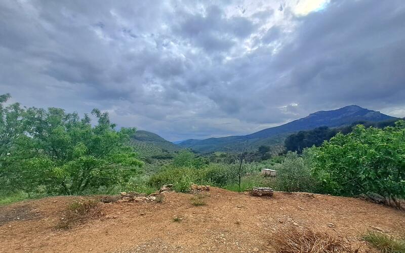 3 Cuarto Casa de Campo en venta