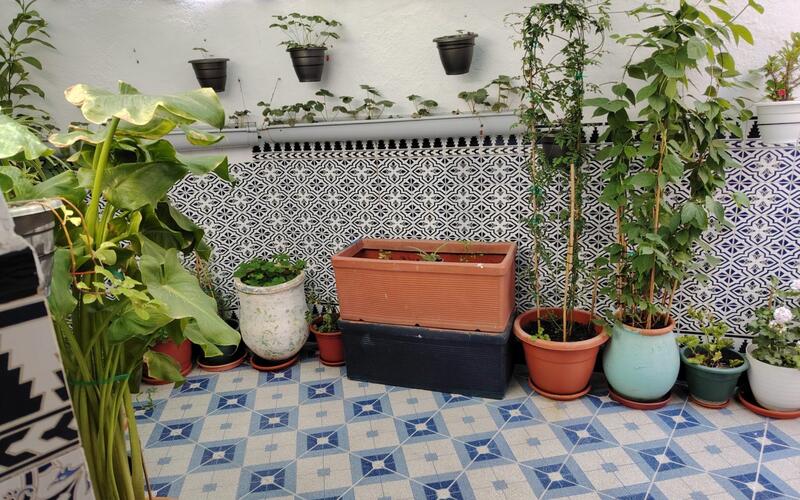 Townhouse for sale in Rute, Córdoba