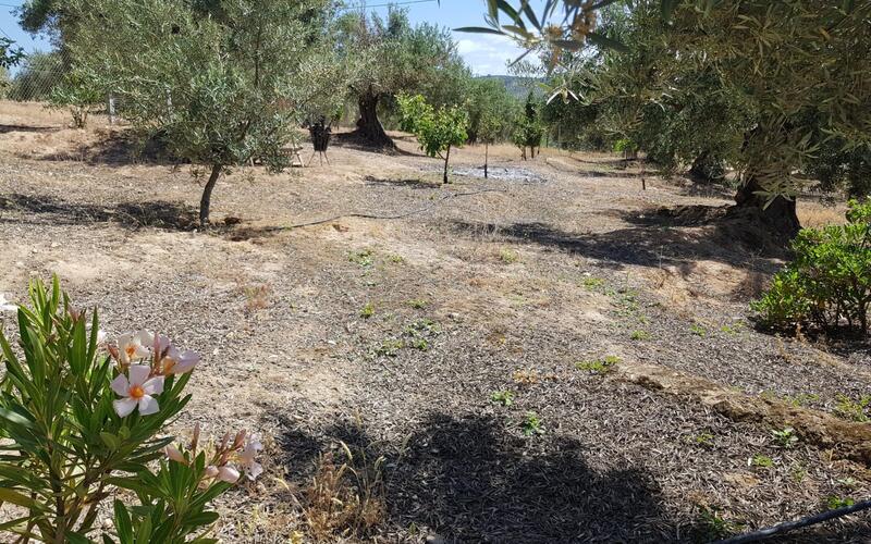 Коммерческая недвижимость продается в Alcala la Real, Jaén