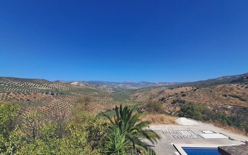 6 Cuarto Casa de Campo en venta