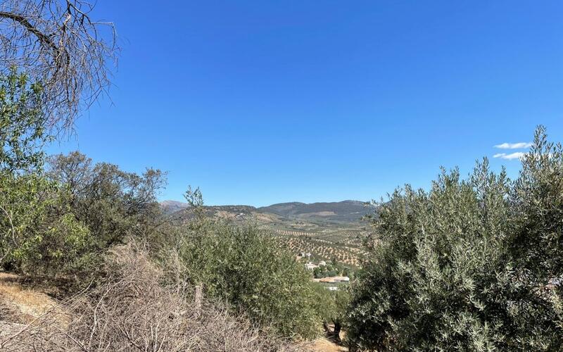 Adosado en venta en Ventas del Carrizal, Jaén