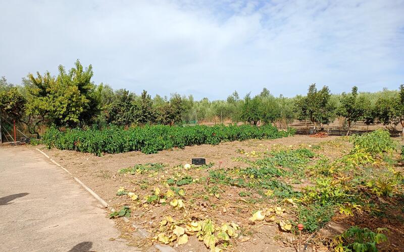 3 bedroom Country House for sale 3 bedroom Country House for sale