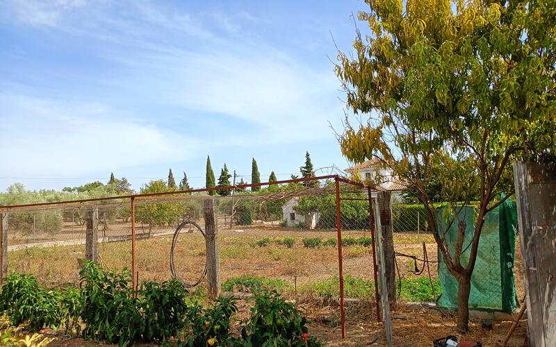 3 bedroom Country House for sale 3 bedroom Country House for sale