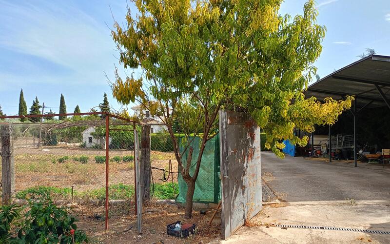 3 bedroom Country House for sale 3 bedroom Country House for sale