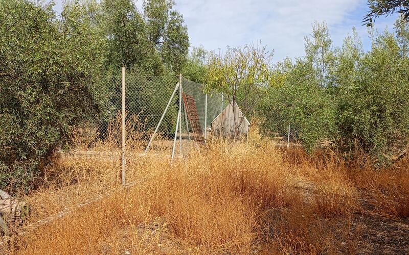 3 bedroom Country House for sale 3 bedroom Country House for sale