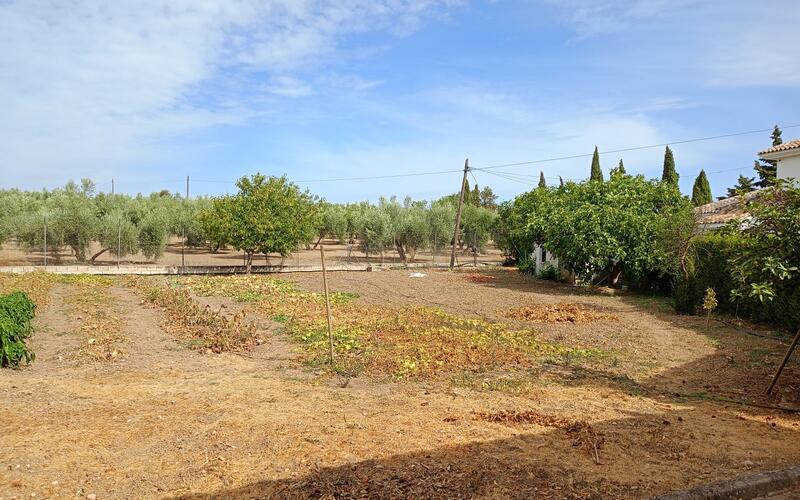 3 bedroom Country House for sale 3 bedroom Country House for sale