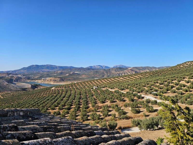 5 bedroom Commercial Property for sale