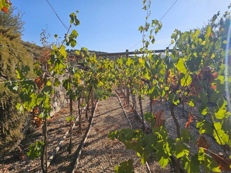 5 bedroom Commercial Property for sale