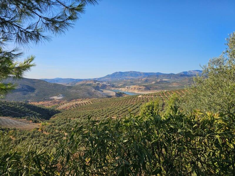 5 bedroom Commercial Property for sale