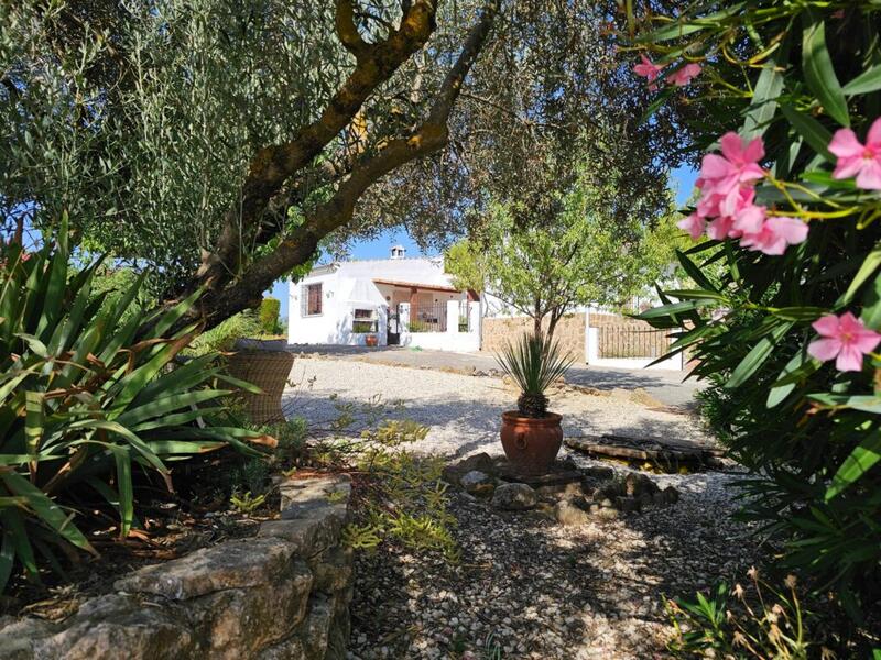 4 bedroom Commercial Property for sale