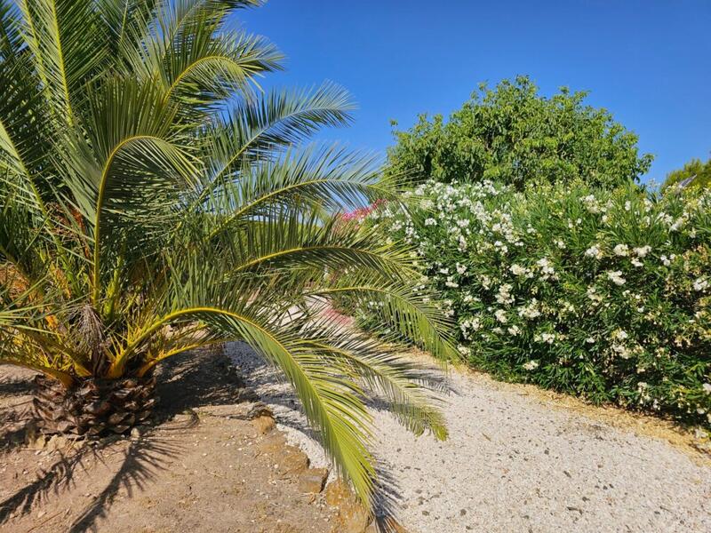 4 bedroom Commercial Property for sale