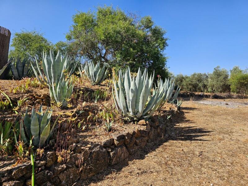 4 bedroom Commercial Property for sale