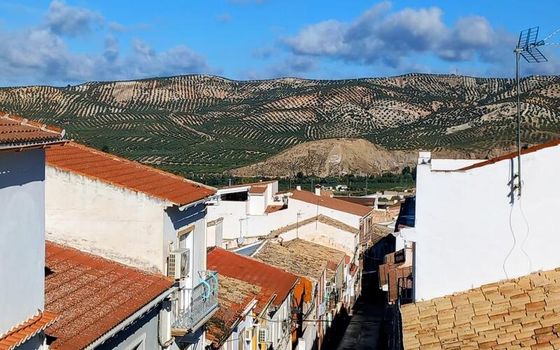 3 спальная комната городская тюрьма продается