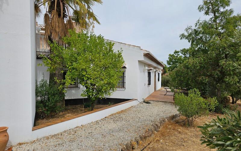 Lantställe till salu i Loja, Granada Lantställe till salu i Loja, Granada