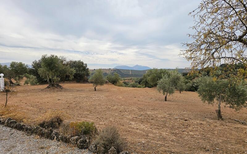 3 Schlafzimmer Landhaus zu verkaufen 3 Schlafzimmer Landhaus zu verkaufen