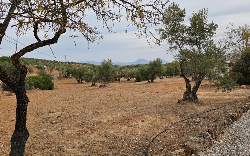 3 Schlafzimmer Landhaus zu verkaufen 3 Schlafzimmer Landhaus zu verkaufen