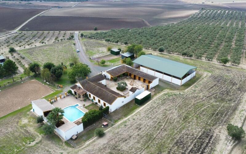 Kommersiella fastigheter till salu i Moron de la Frontera, Sevilla Kommersiella fastigheter till salu i Moron de la Frontera, Sevilla