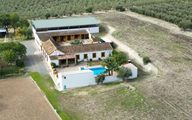 4 soverom Forretningseiendom til salgs 4 soverom Forretningseiendom til salgs