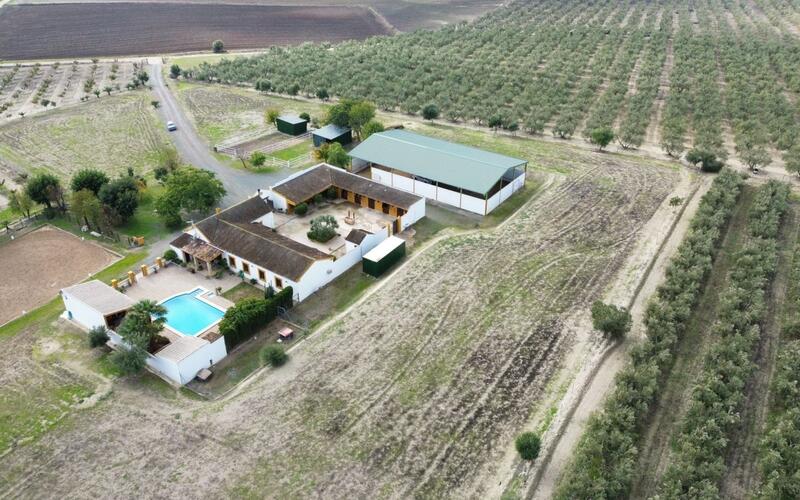 4 soverom Forretningseiendom til salgs 4 soverom Forretningseiendom til salgs