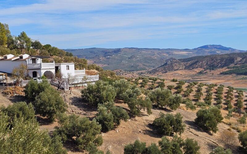 5 Schlafzimmer Handelsimmobilie zu verkaufen 5 Schlafzimmer Handelsimmobilie zu verkaufen