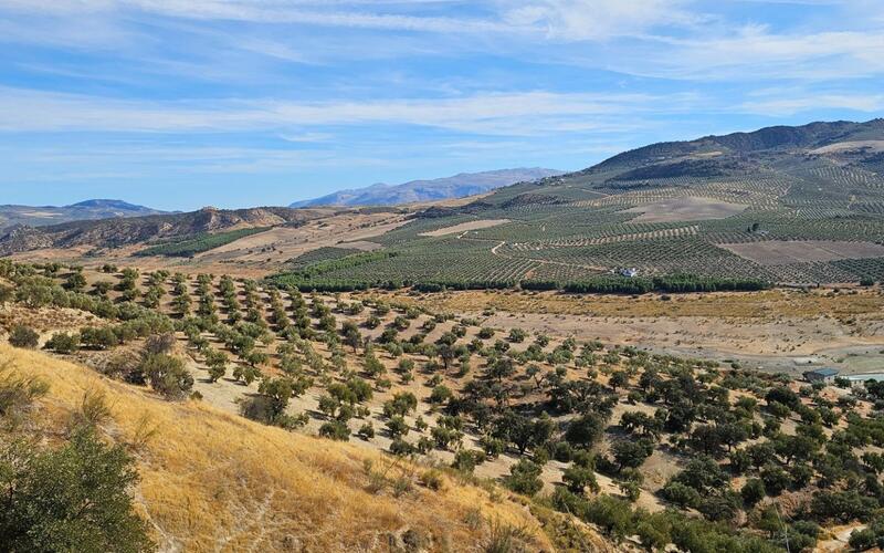 5 Schlafzimmer Handelsimmobilie zu verkaufen 5 Schlafzimmer Handelsimmobilie zu verkaufen