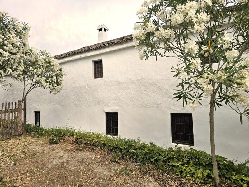 4 спальная комната Деревенский Дом продается 4 спальная комната Деревенский Дом продается