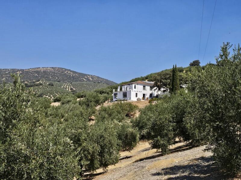 3 sovrum Lantställe till salu 3 sovrum Lantställe till salu