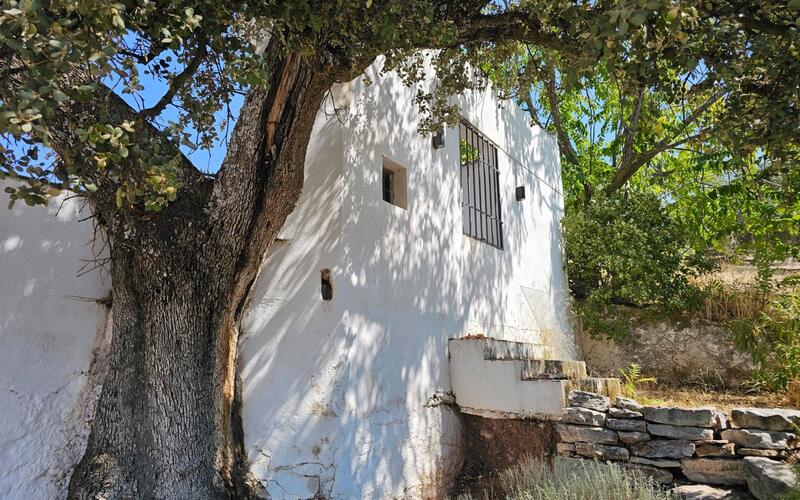 3 sovrum Lantställe till salu 3 sovrum Lantställe till salu